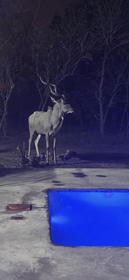 מלון מרלות' פארק Wild Goose מראה חיצוני תמונה